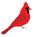 Cardenal Tech